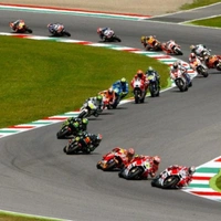 cover image of the auction item