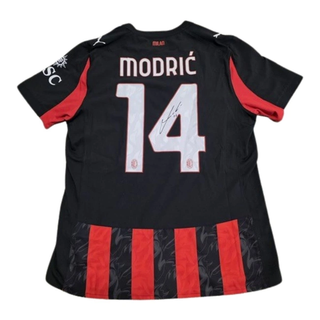 cover image of the auction item