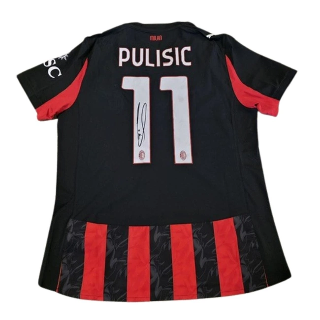 cover image of the auction item