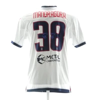 cover image of the auction item