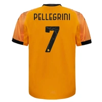 cover image of the auction item