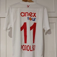 cover image of the auction item