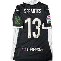 cover image of the auction item