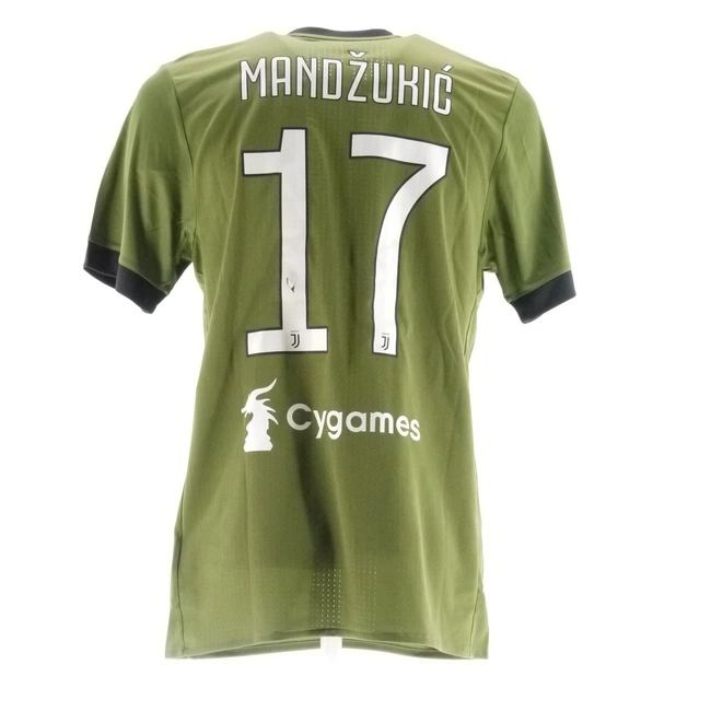 cover image of the auction item