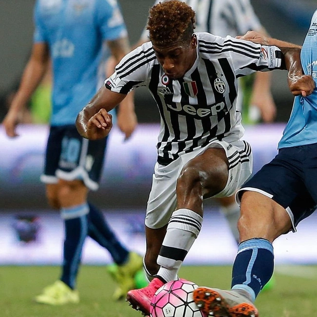 cover image of the auction item