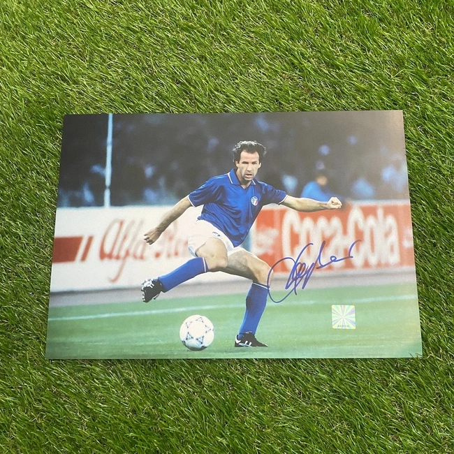 cover image of the auction item