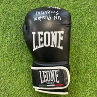 cover image of the auction item