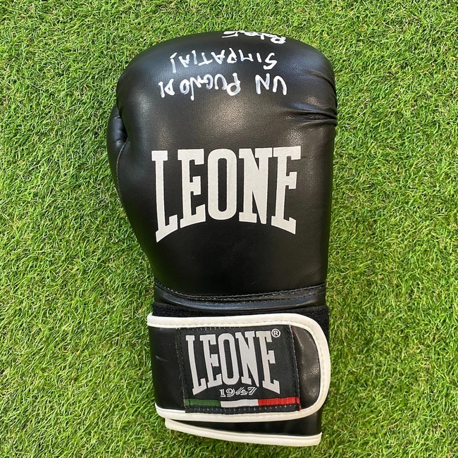 cover image of the auction item