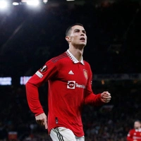 cover image of the auction item