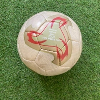 cover image of the auction item