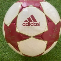 cover image of the auction item