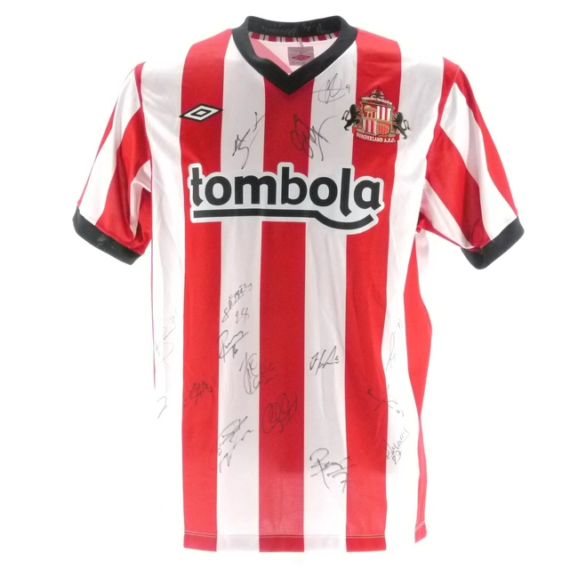 cover image of the auction item