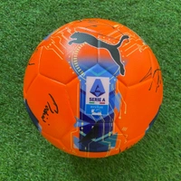 cover image of the auction item