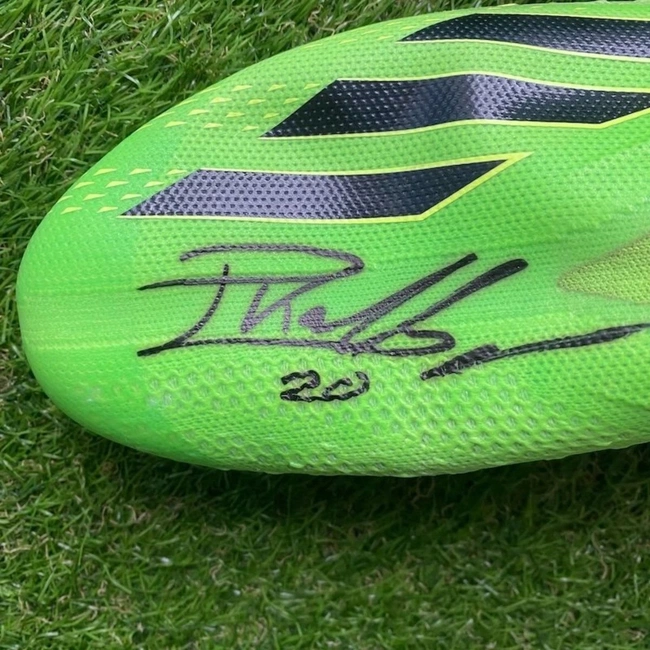 cover image of the auction item