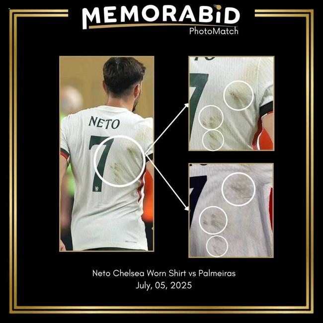 cover image of the auction item