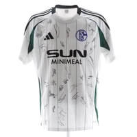 cover image of the auction item