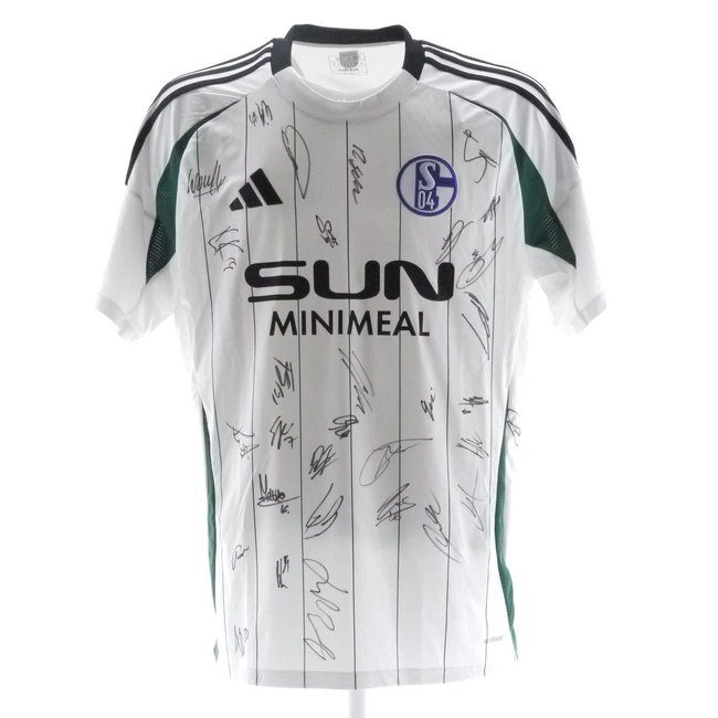 cover image of the auction item