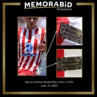 cover image of the auction item