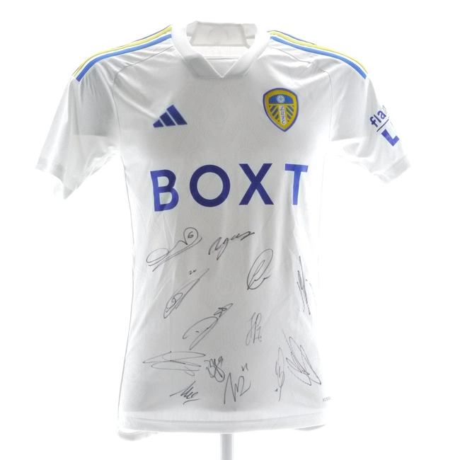 cover image of the auction item