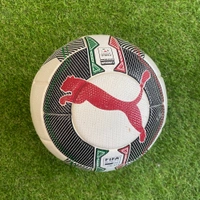 cover image of the auction item