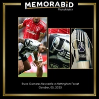 cover image of the auction item