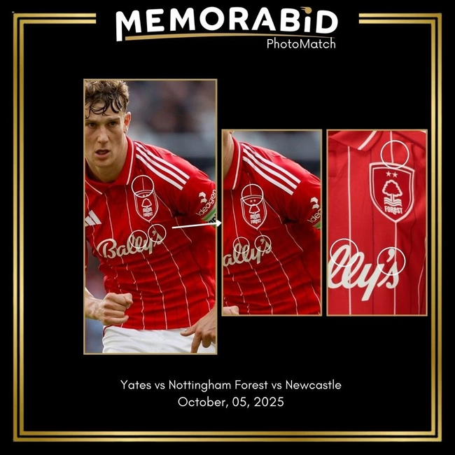 cover image of the auction item