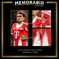 cover image of the auction item