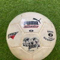 cover image of the auction item