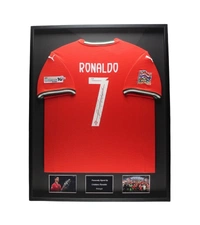 cover image of the auction item