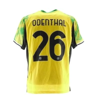 cover image of the auction item