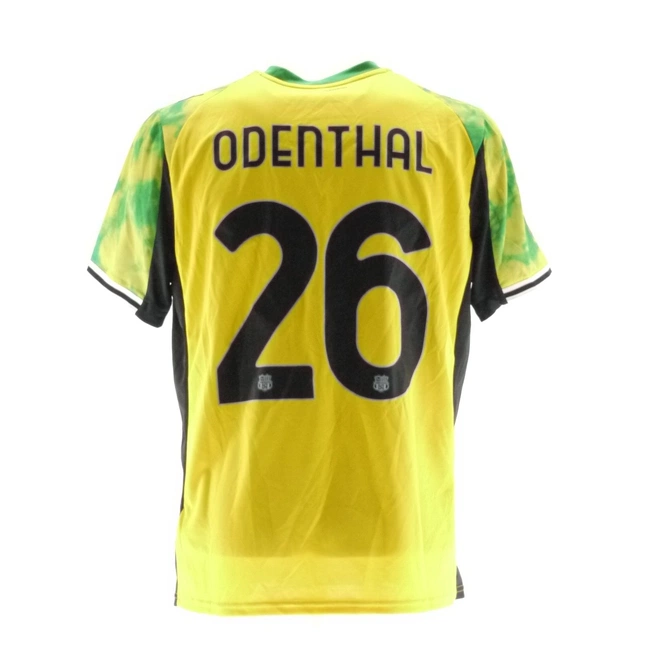 cover image of the auction item