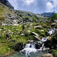 cover image of the auction item