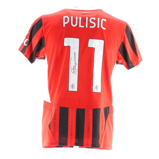 cover image of the auction item