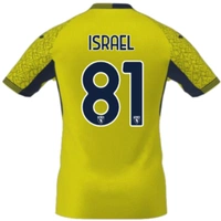 cover image of the auction item