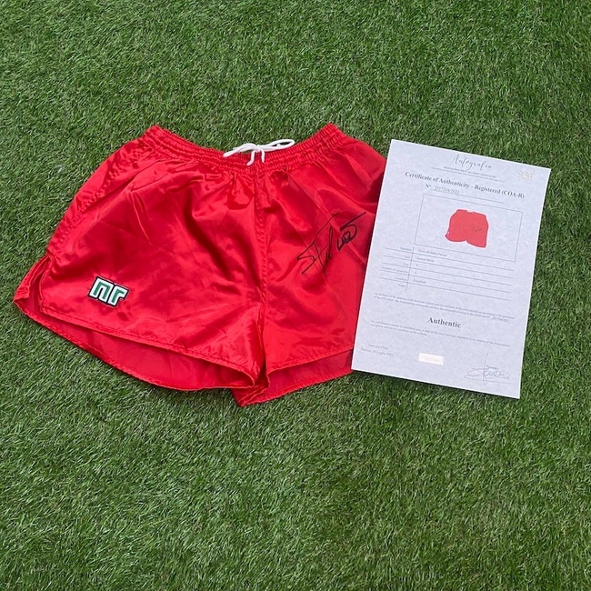 cover image of the auction item