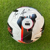 cover image of the auction item