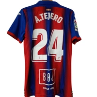 cover image of the auction item