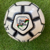 cover image of the auction item