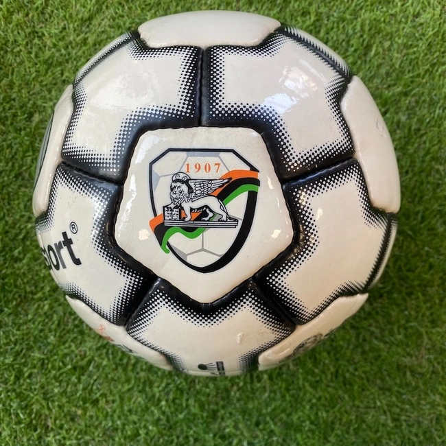 cover image of the auction item