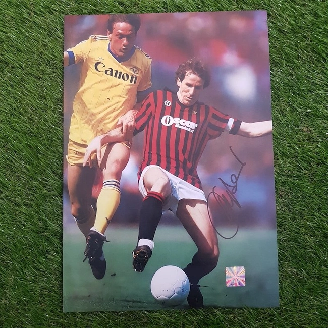 cover image of the auction item