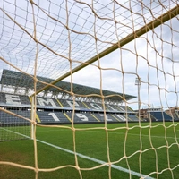 cover image of the auction item