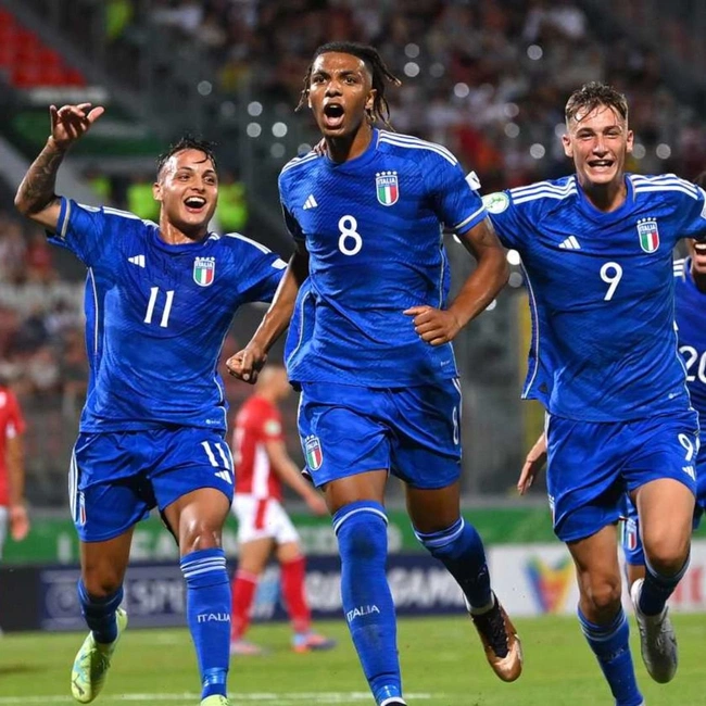 cover of the auction item