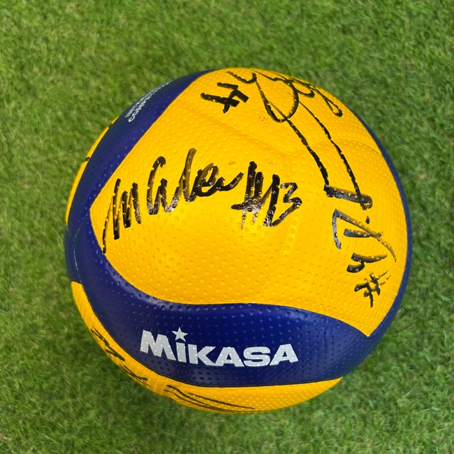 cover image of the auction item