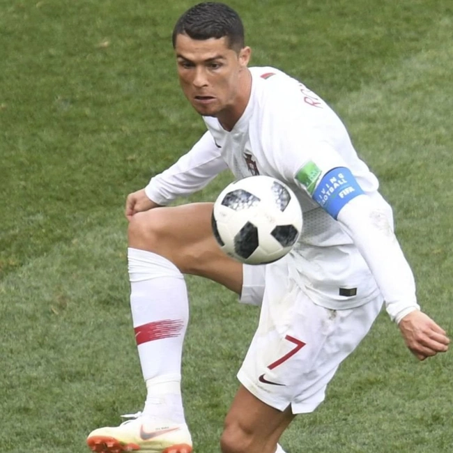 cover image of the auction item