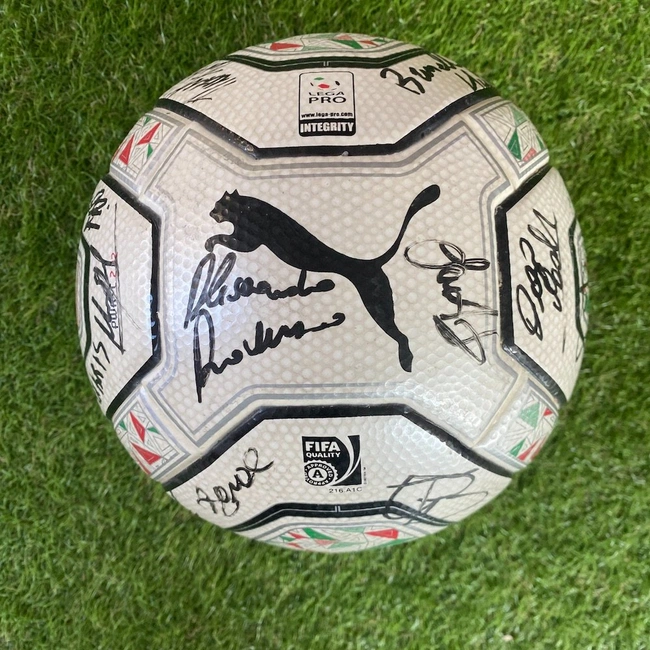 cover image of the auction item