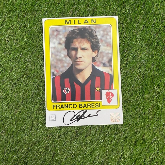 cover image of the auction item