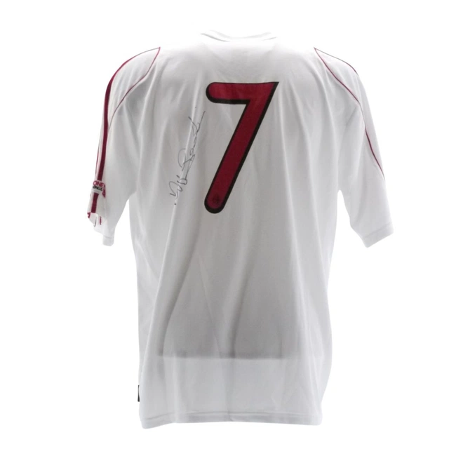 cover image of the auction item