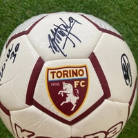 cover image of the auction item