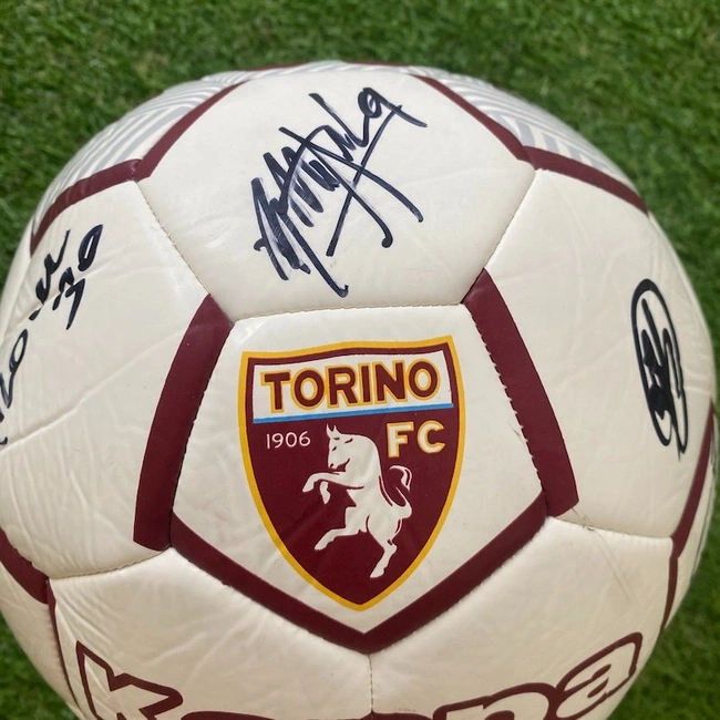 cover image of the auction item