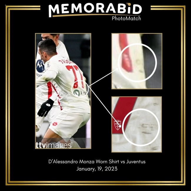 cover image of the auction item